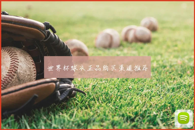 世界杯球衣正品购买渠道推荐