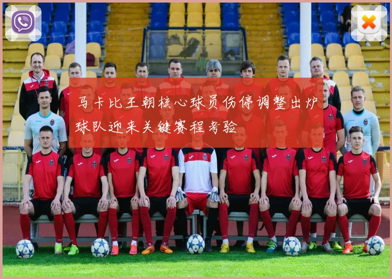 马卡比王朝核心球员伤停调整出炉球队迎来关键赛程考验