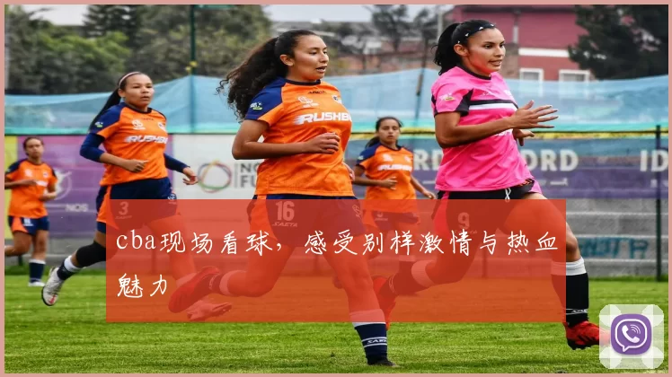 cba现场看球，感受别样激情与热血魅力