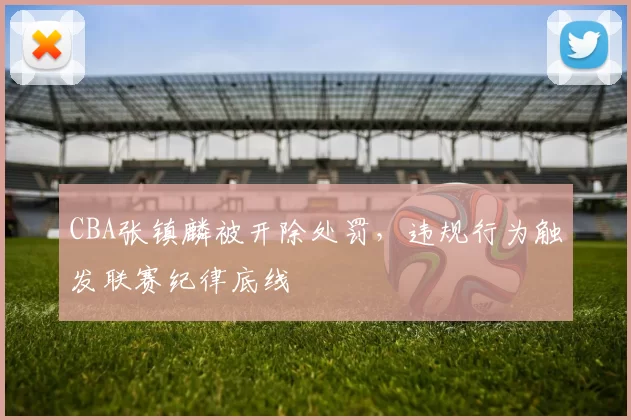 CBA张镇麟被开除处罚，违规行为触发联赛纪律底线